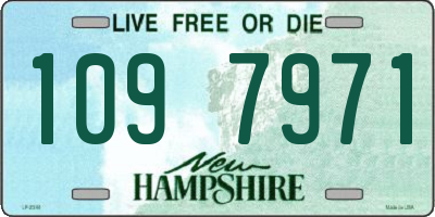 NH license plate 1097971