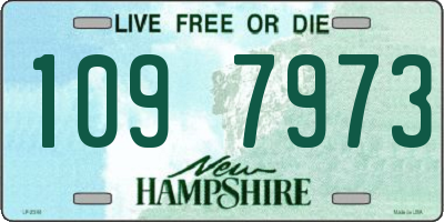 NH license plate 1097973