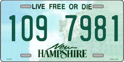 NH license plate 1097981