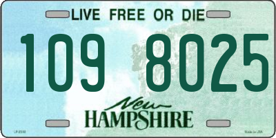 NH license plate 1098025