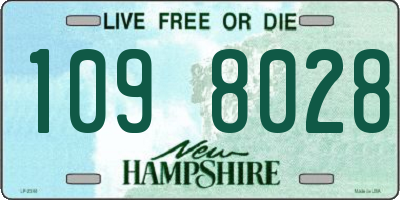 NH license plate 1098028