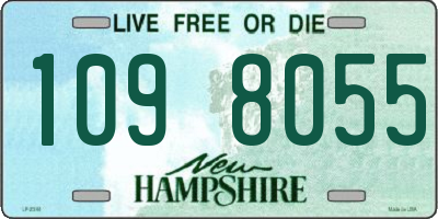 NH license plate 1098055
