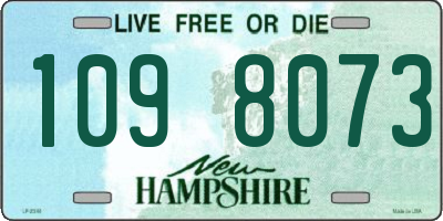 NH license plate 1098073