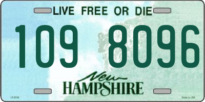 NH license plate 1098096