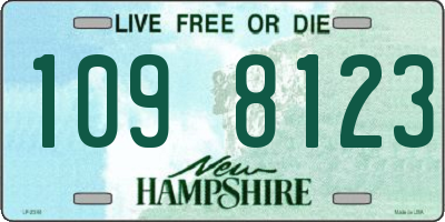 NH license plate 1098123