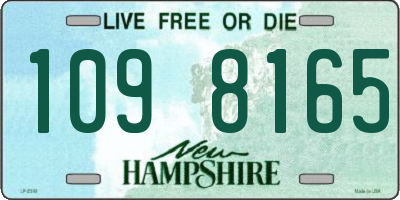 NH license plate 1098165