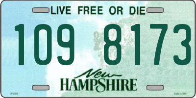 NH license plate 1098173