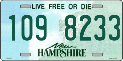 NH license plate 1098233