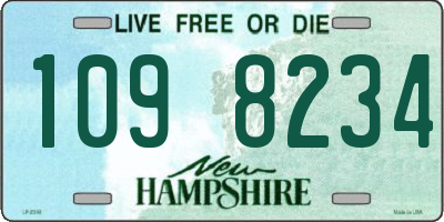 NH license plate 1098234