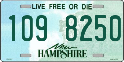 NH license plate 1098250