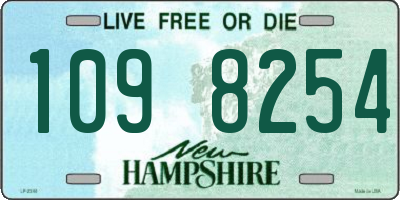 NH license plate 1098254