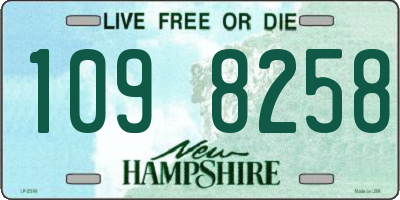 NH license plate 1098258