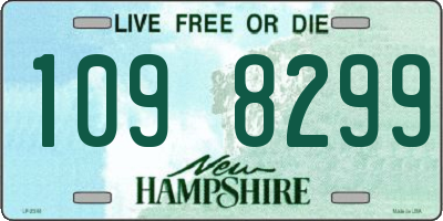 NH license plate 1098299