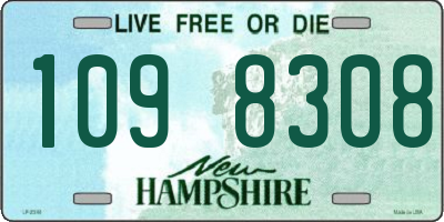NH license plate 1098308