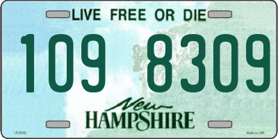 NH license plate 1098309