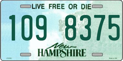 NH license plate 1098375