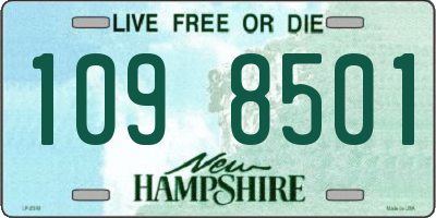 NH license plate 1098501
