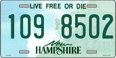 NH license plate 1098502