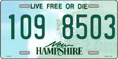 NH license plate 1098503