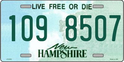 NH license plate 1098507