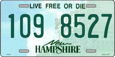 NH license plate 1098527