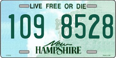 NH license plate 1098528