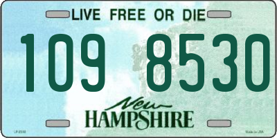 NH license plate 1098530