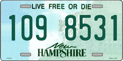 NH license plate 1098531