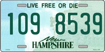 NH license plate 1098539