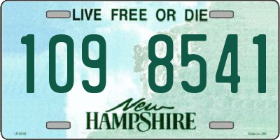 NH license plate 1098541