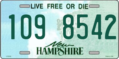 NH license plate 1098542