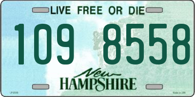 NH license plate 1098558