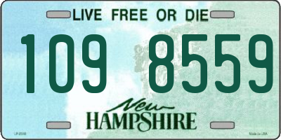 NH license plate 1098559