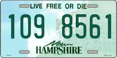 NH license plate 1098561