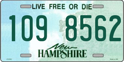 NH license plate 1098562