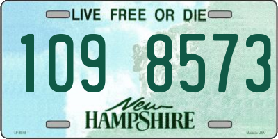 NH license plate 1098573