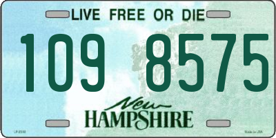 NH license plate 1098575