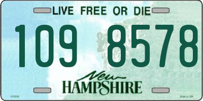 NH license plate 1098578