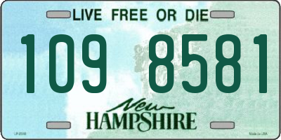 NH license plate 1098581