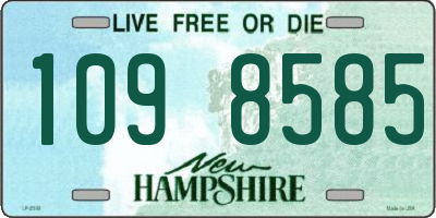 NH license plate 1098585