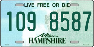 NH license plate 1098587