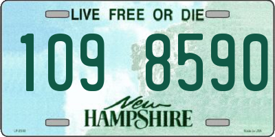 NH license plate 1098590