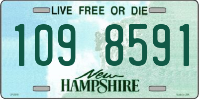 NH license plate 1098591