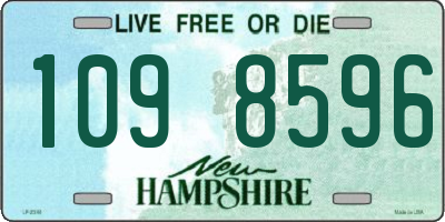 NH license plate 1098596