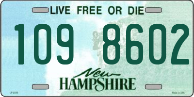 NH license plate 1098602
