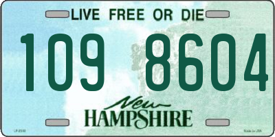 NH license plate 1098604