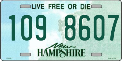 NH license plate 1098607