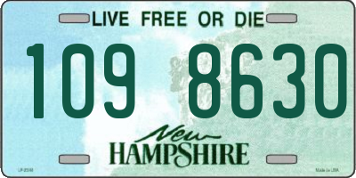 NH license plate 1098630