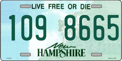 NH license plate 1098665
