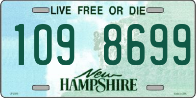 NH license plate 1098699